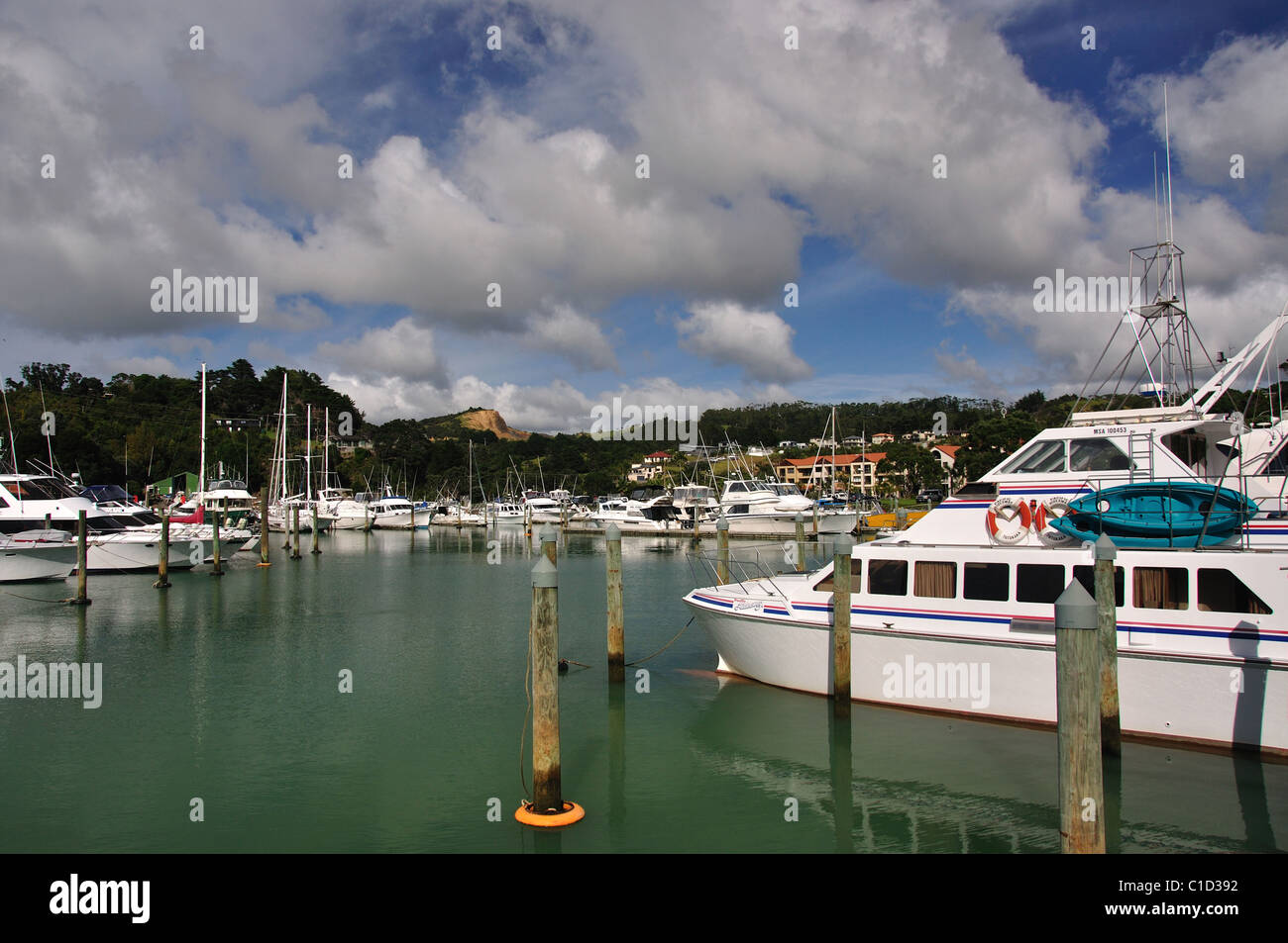 Blick auf Yachthafen, Tutukaka, Tutukaka Coast, Region Northland, Nordinsel, Neuseeland Stockfoto