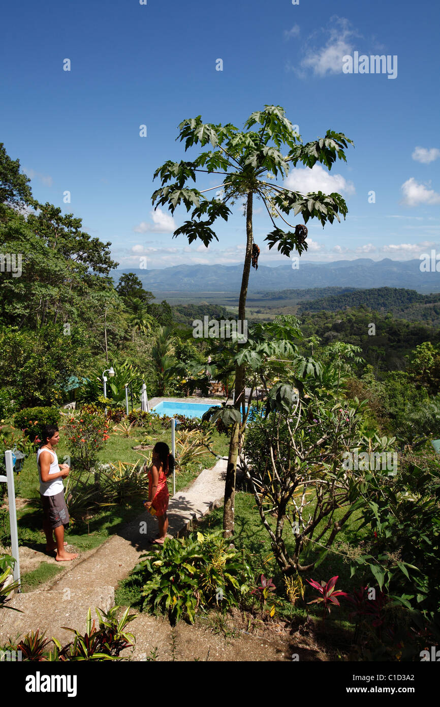 Hotelgarten, Halbinsel Osa, Costa Rica Stockfoto