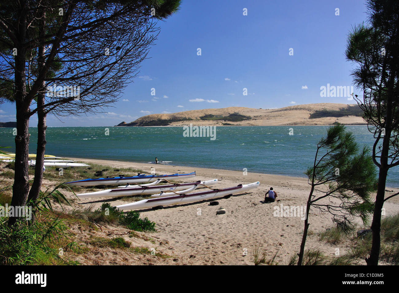 Strandblick, Opononi, Region Northland, Nordinsel, Neuseeland Stockfoto