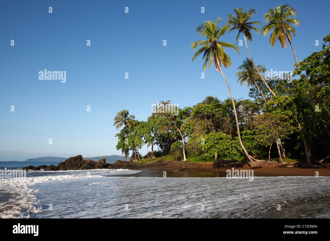 Einem tropischen Strand in der Nähe von Drake Bay entlang des Weges zum Corcovado Nationalpark auf der Osa Halbinsel in Costa Rica Stockfoto