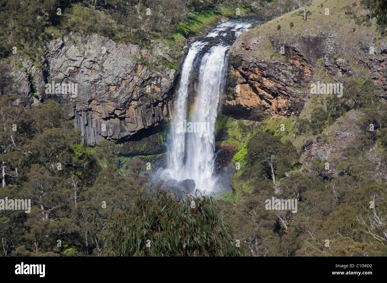 Die Ebor Falls auf dem Guy Fawkes River in New South Wales Australien Stockfoto