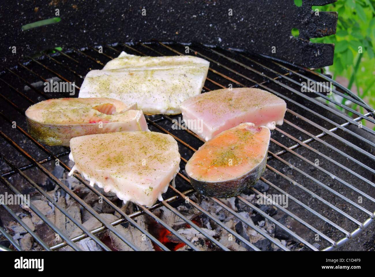 Grillen Fischsteak - Grillen Steak vom Fisch 18 Stockfoto