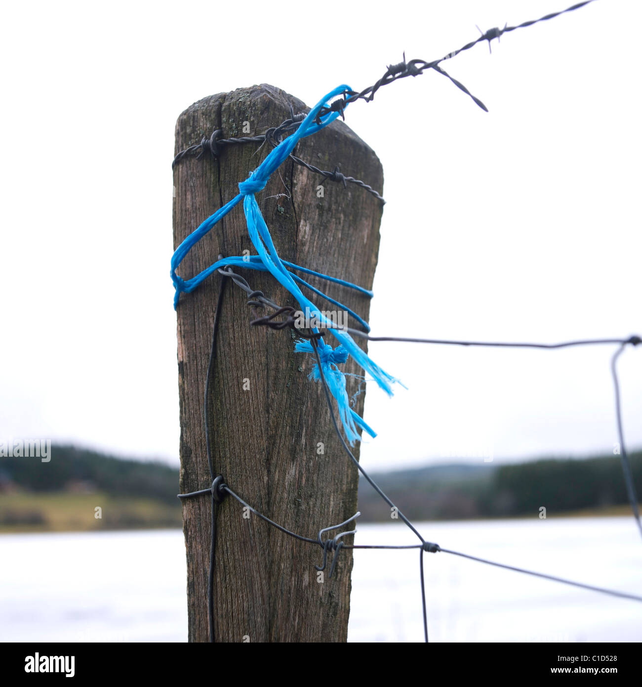 Blaues Band an einem Holzpfosten in der Nähe eines Feldes im Winter in einer ländlichen Gegend an einem bewölkten Tag Stockfoto