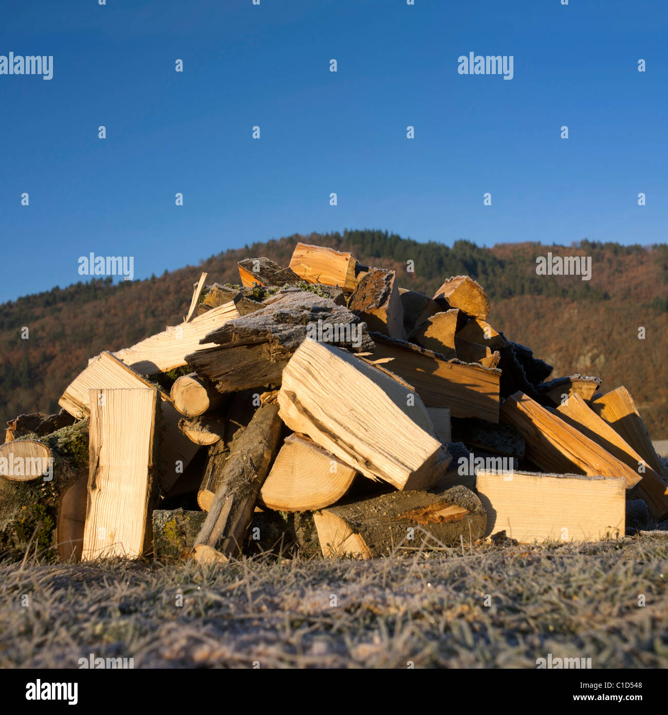 Stapel von Stückholz außerhalb Stockfoto