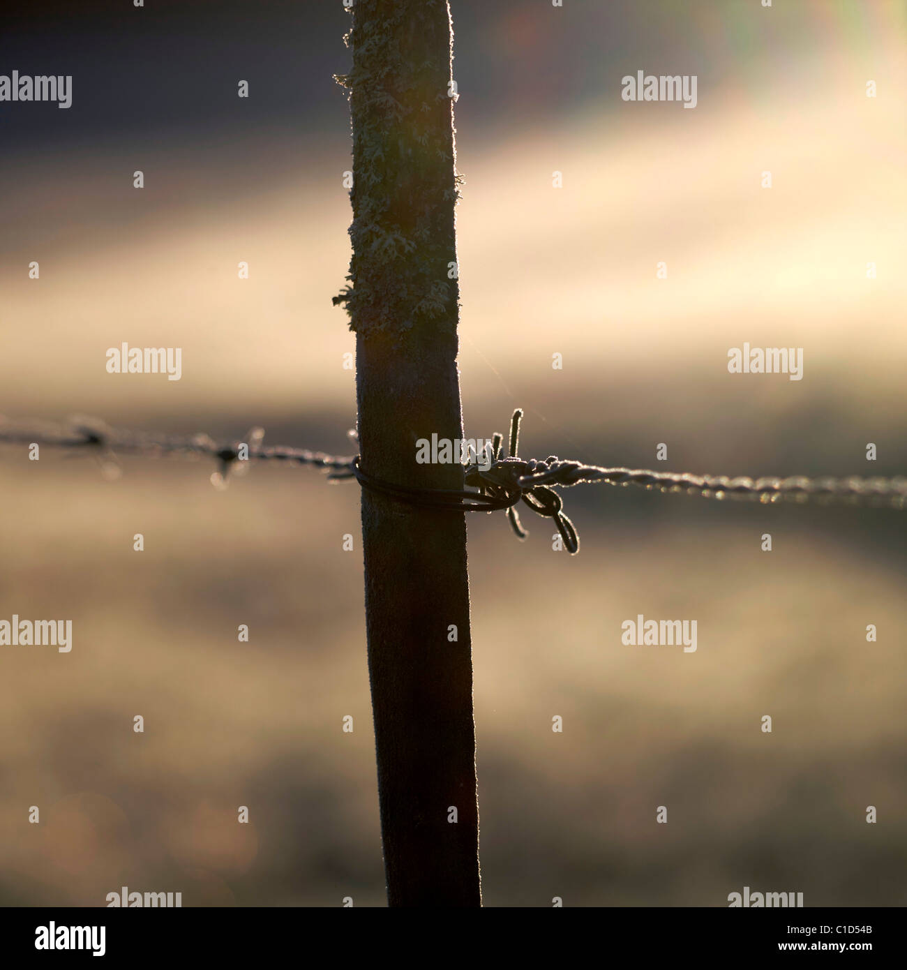 Holzpfosten mit Stacheldraht. Stockfoto