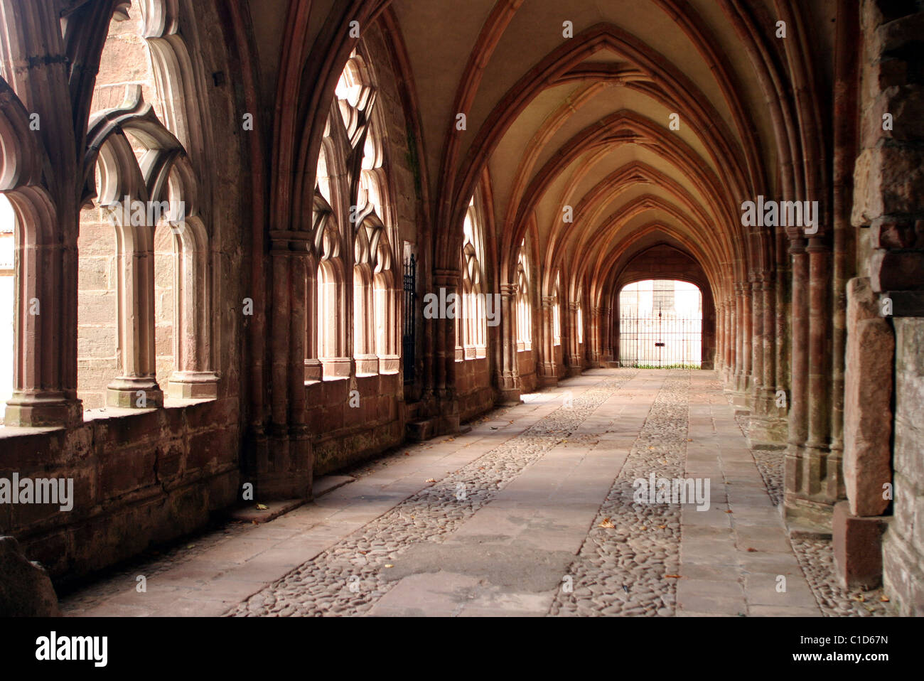 Frankreich, Vogesen, Saint Die des Vosges, Kreuzgang im Dom Stockfoto