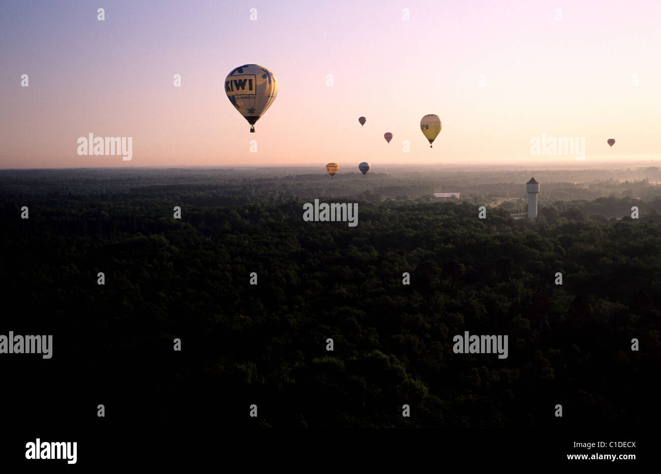 Frankreich, Loir et Cher, Francois ich Luft Ballon-Wettbewerb, oberhalb der Sologne Region Stockfoto