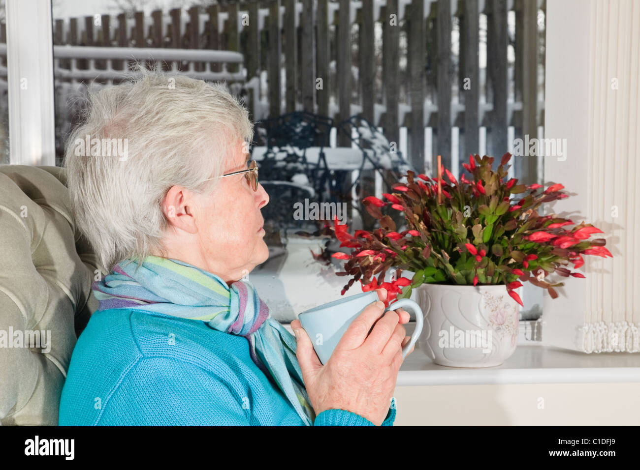 Deprimiert senior Frau alleine halten heißes Getränk traurig und einsam durch ein Fenster auf Schnee mit Weihnachten Kaktus auf der Fensterbank. Großbritannien Stockfoto