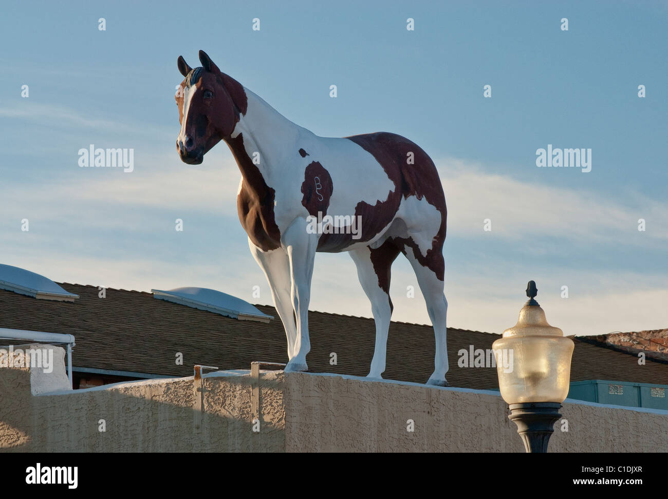Pferd Figur im Western liefert Shop auf Tegner Street in Wickenburg, Arizona, USA Stockfoto