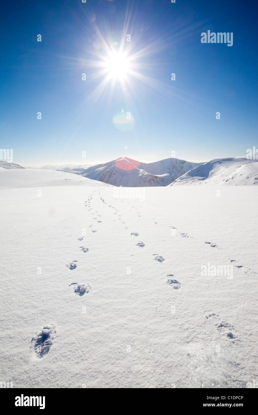 Mit Blick auf die Engel Peak und Braeriach über den Lairig Ghru von Ben Macdui, auf den Cairngorm mountains Stockfoto