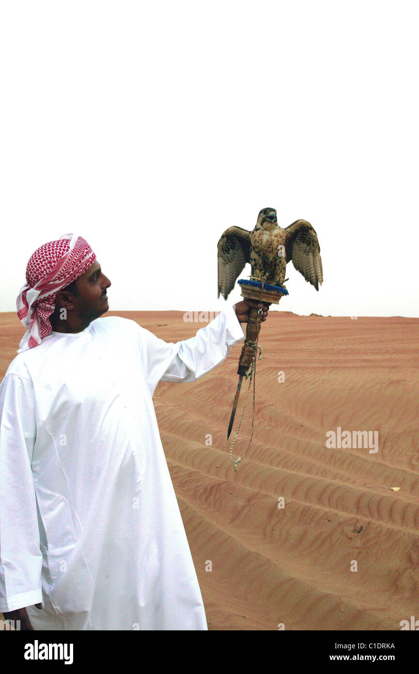 Vereinigte Arabische Emirate Dubai Ausflüge mit Kamelreiten Falken zeigen & Bauch Tänze im Camp um ein Barbecue in der Wüste Stockfoto