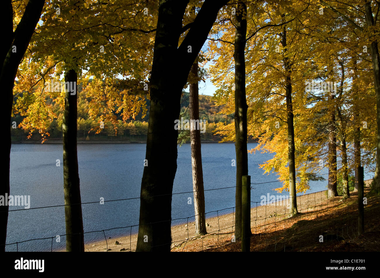 Herbsttage in Derbyshire Stockfoto