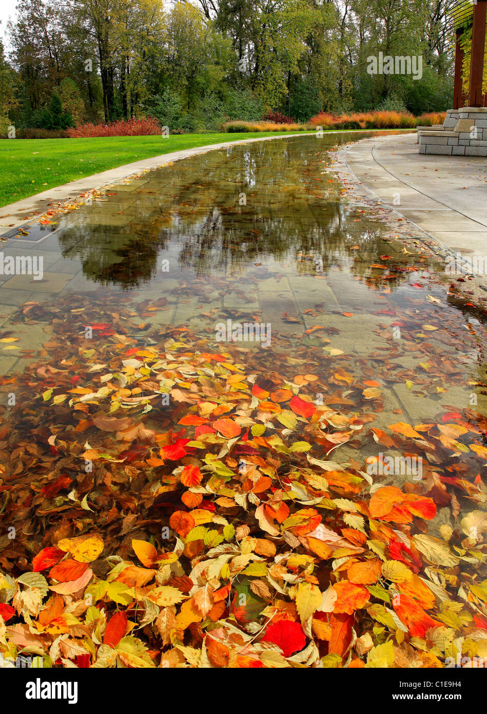 Blätter fallen in den Teich am Fuße Park in Lake Oswego Oregon Stockfoto