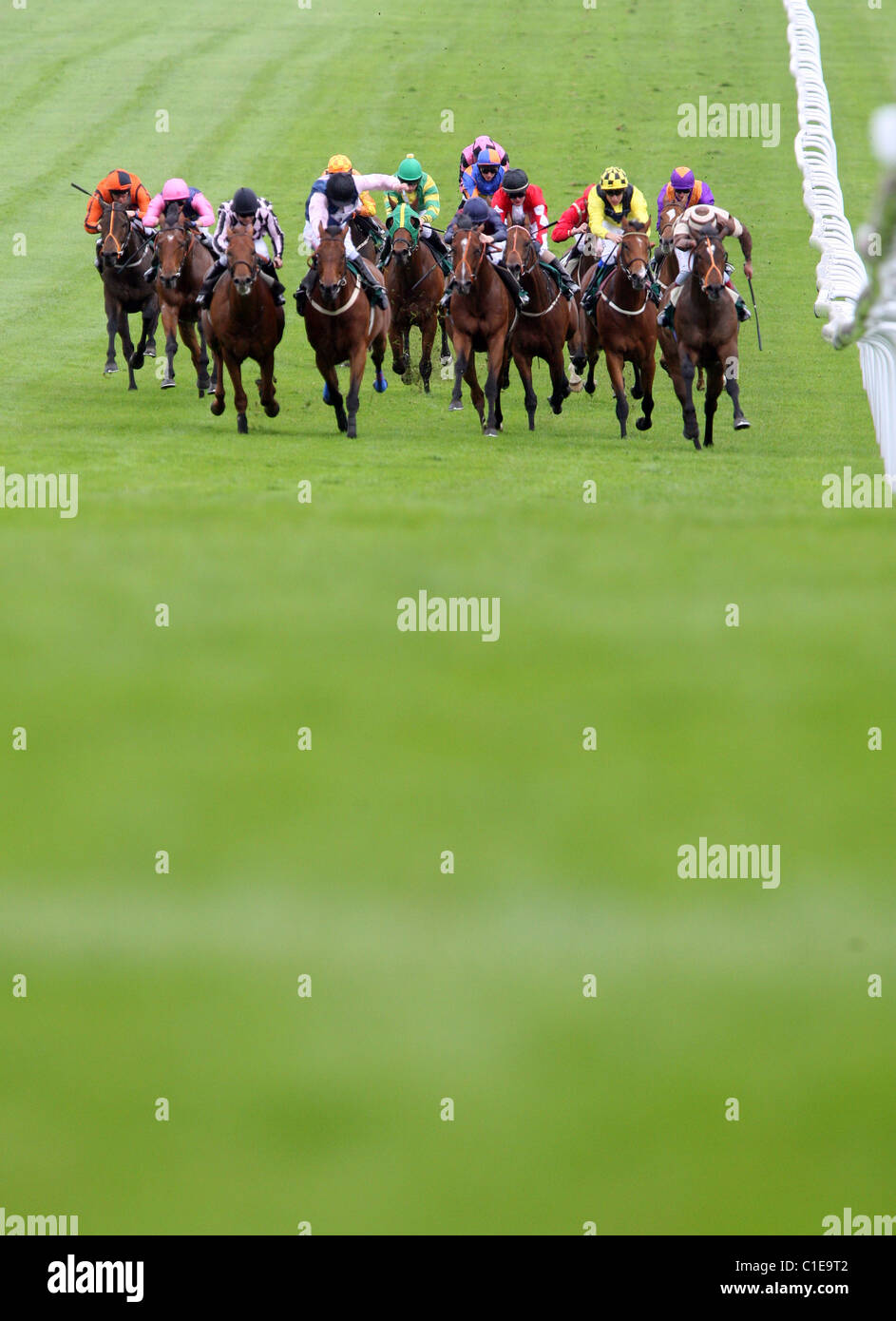Pferde und jockeys in einem Rennen, Epsom, Großbritannien Stockfoto