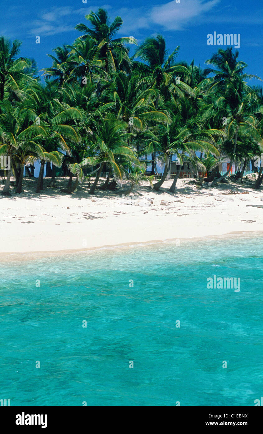 Bahamas, New Providence Viertel, Nassau, Providence Island, Strand an der Gilliham-Bucht Stockfoto