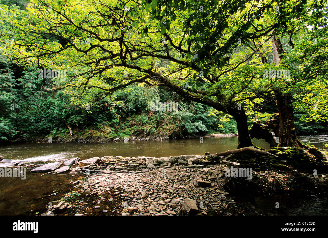 Frankreich, Creuse, Landschaft des Tals der Maler Crozant, Ufer des Flusses Petite Creuse Stockfoto