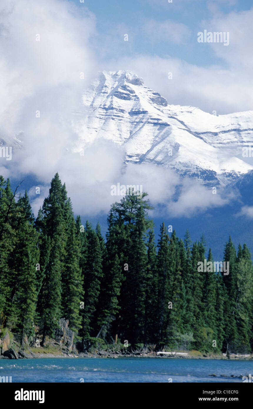 Kanada, Alberta, die Rockies, Banff Nationalpark, Bow river Stockfoto