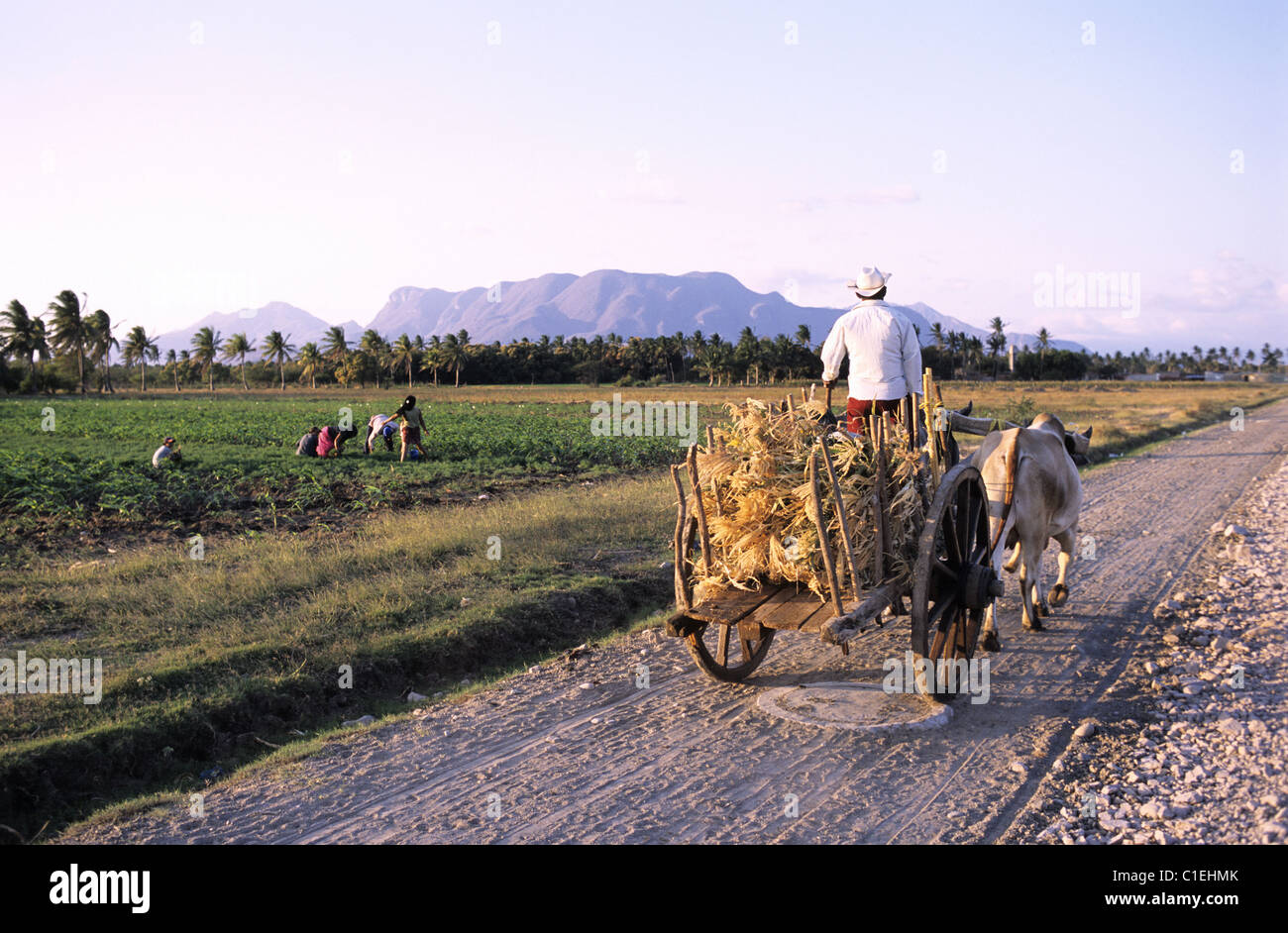 Mexiko, Oaxaca Zustand, Tehuantepec, Peon auf dessen Überquerung Beförderung der Fenchel Wiesen Felder von Tehuantepec Stockfoto