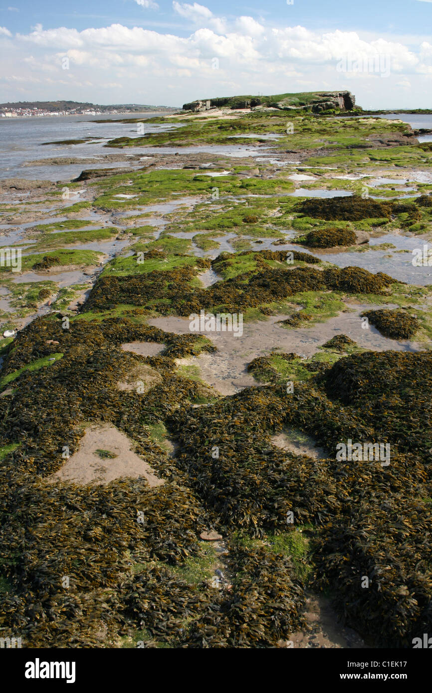 Blick über Algen bedeckt Küstenlinie in Richtung Mitte Auge von Hilbre Insel, Wirral, UK Stockfoto