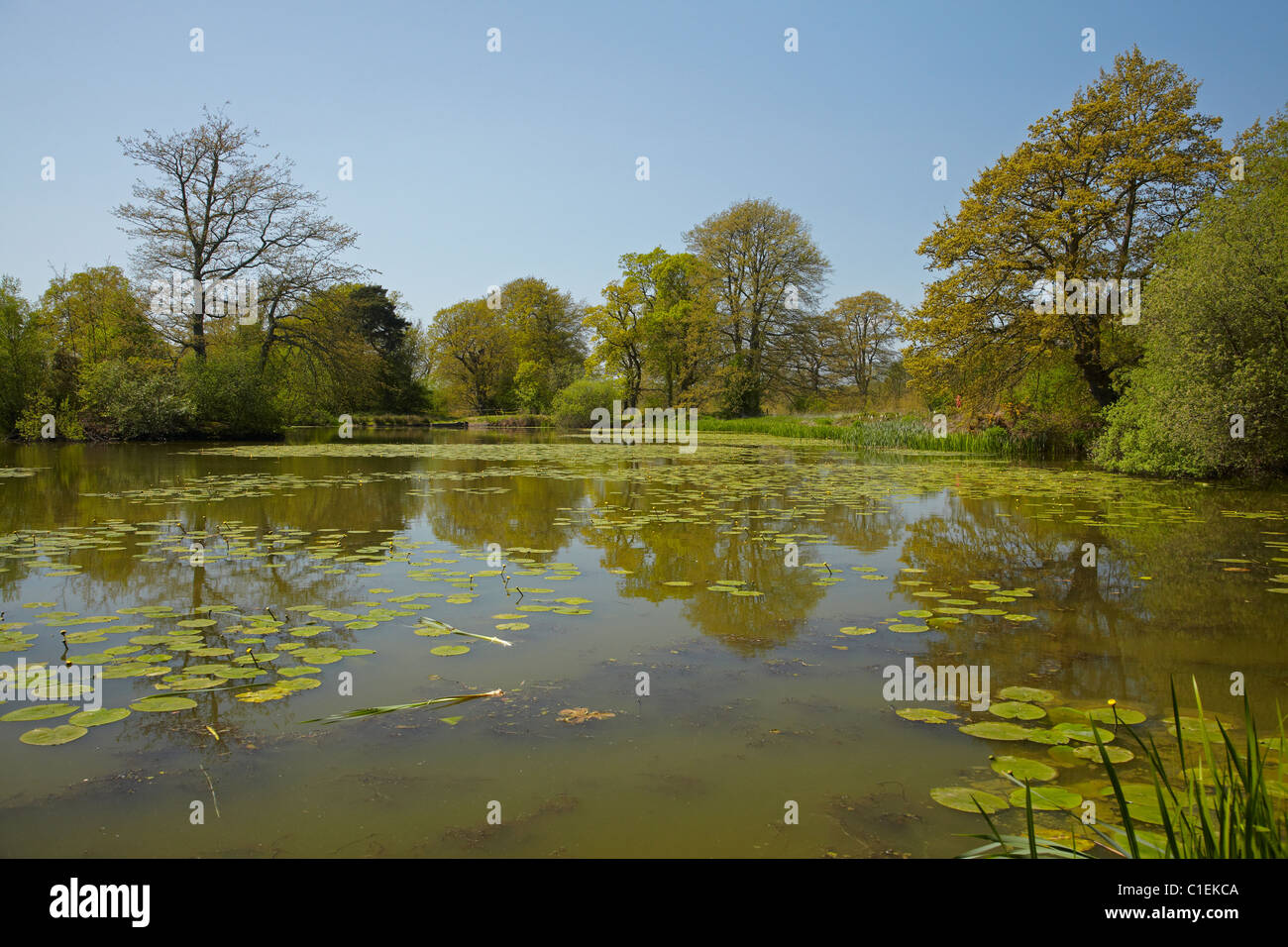 Historischen Schlachtfeld, Ort der Schlacht von Hastings (1066), Battle Abbey, Battle, East Sussex, England, Vereinigtes Königreich Stockfoto