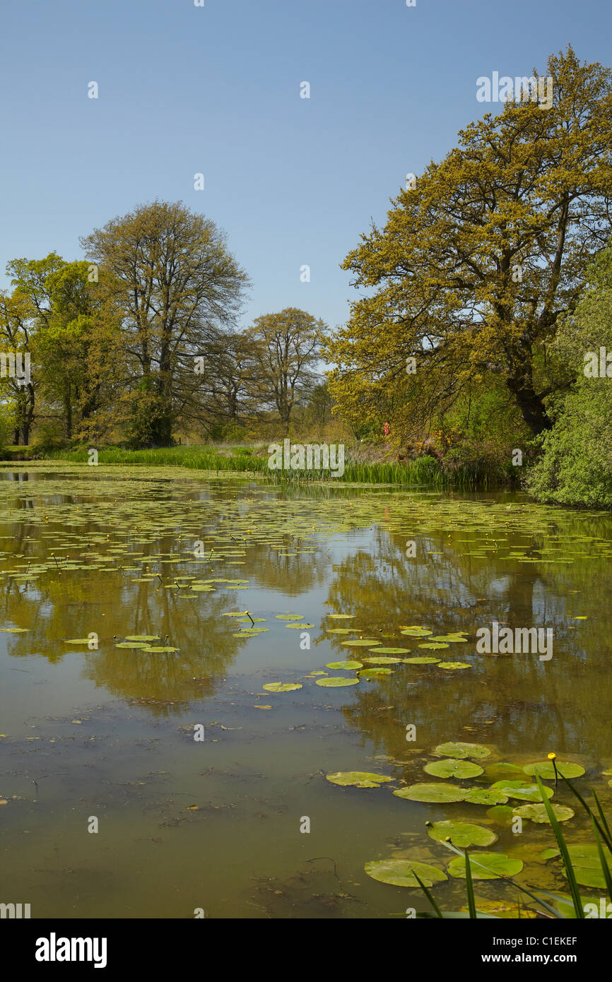Historischen Schlachtfeld, Ort der Schlacht von Hastings (1066), Battle Abbey, Battle, East Sussex, England, Vereinigtes Königreich Stockfoto