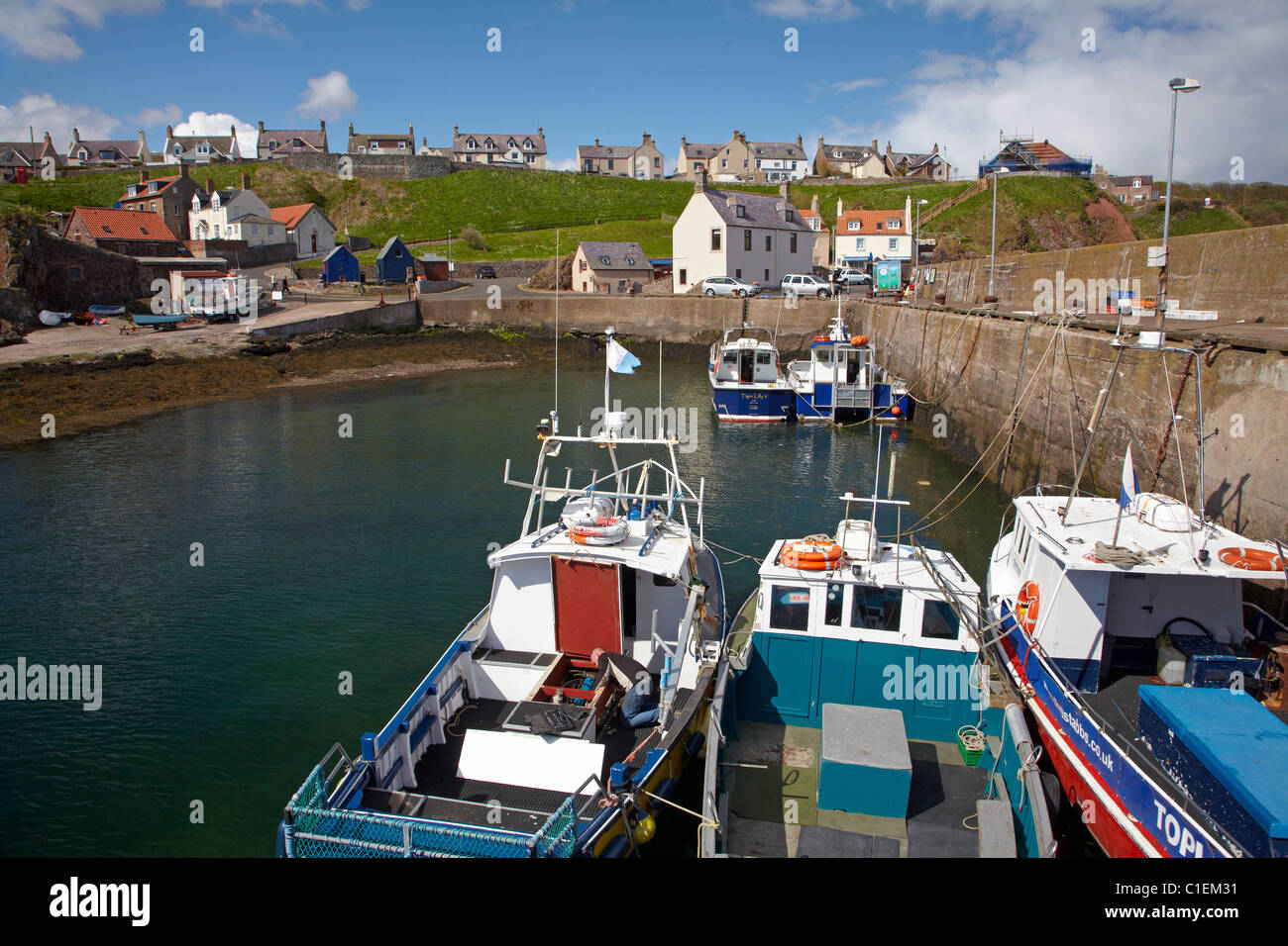 Angeln, Boote, St. Abbs, Berwickshire, Schottland, Schottland, Vereinigtes Königreich Stockfoto