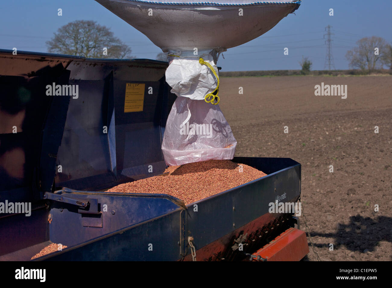 Drillmaschine Trichter einfüllen Mälzen Gerste Samen vor der Aussaat Stockfoto