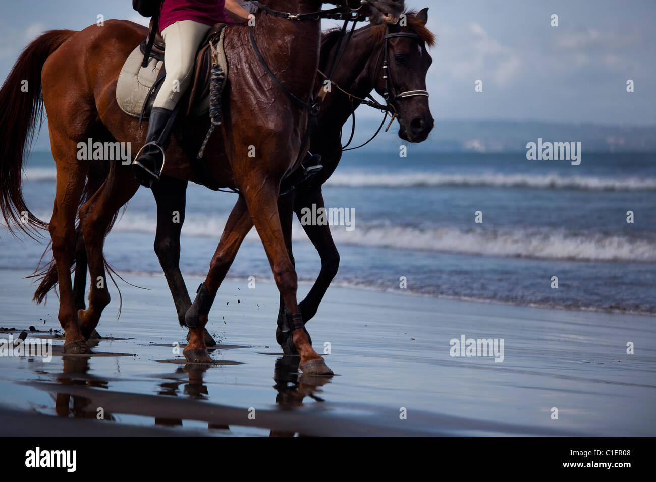 CUTA Strand ist der Ort, wo Sie bei Sonnenaufgang und Sonnenaufgang Reiten können Stockfoto