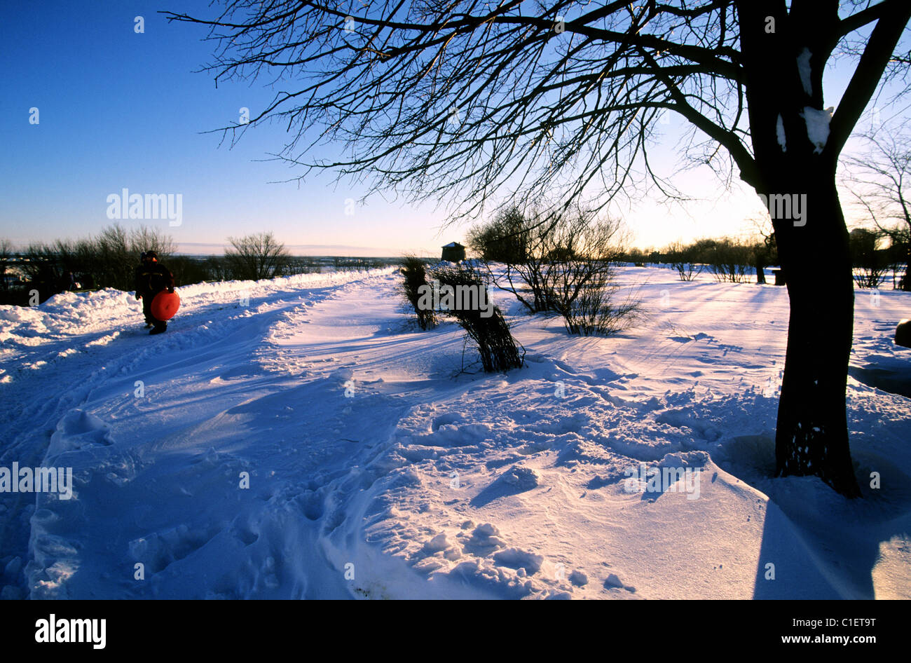 Kanada, Québec, Québec (Stadt) im Winter, einen Spaziergang auf den Ebenen von Abraham Stockfoto