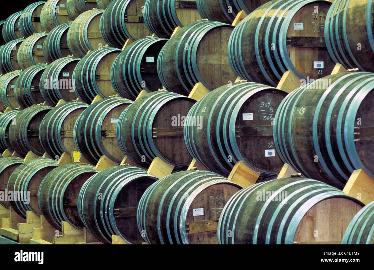 Frankreich, Charente, Cognac Alterung in Fässern im Keller Stockfoto