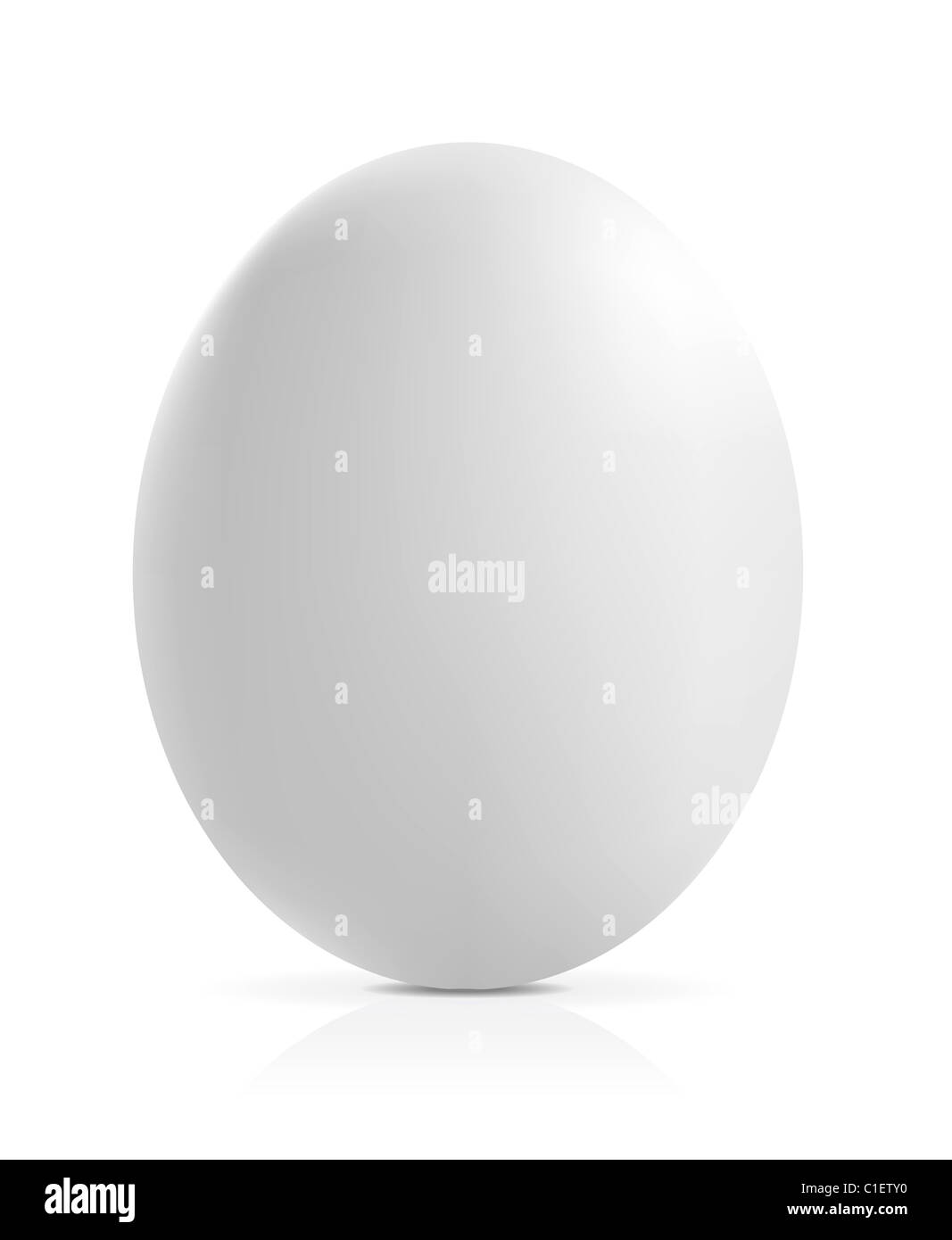 Nahaufnahme eines Eies auf weißem Hintergrund. Vektor-illustration Stockfoto