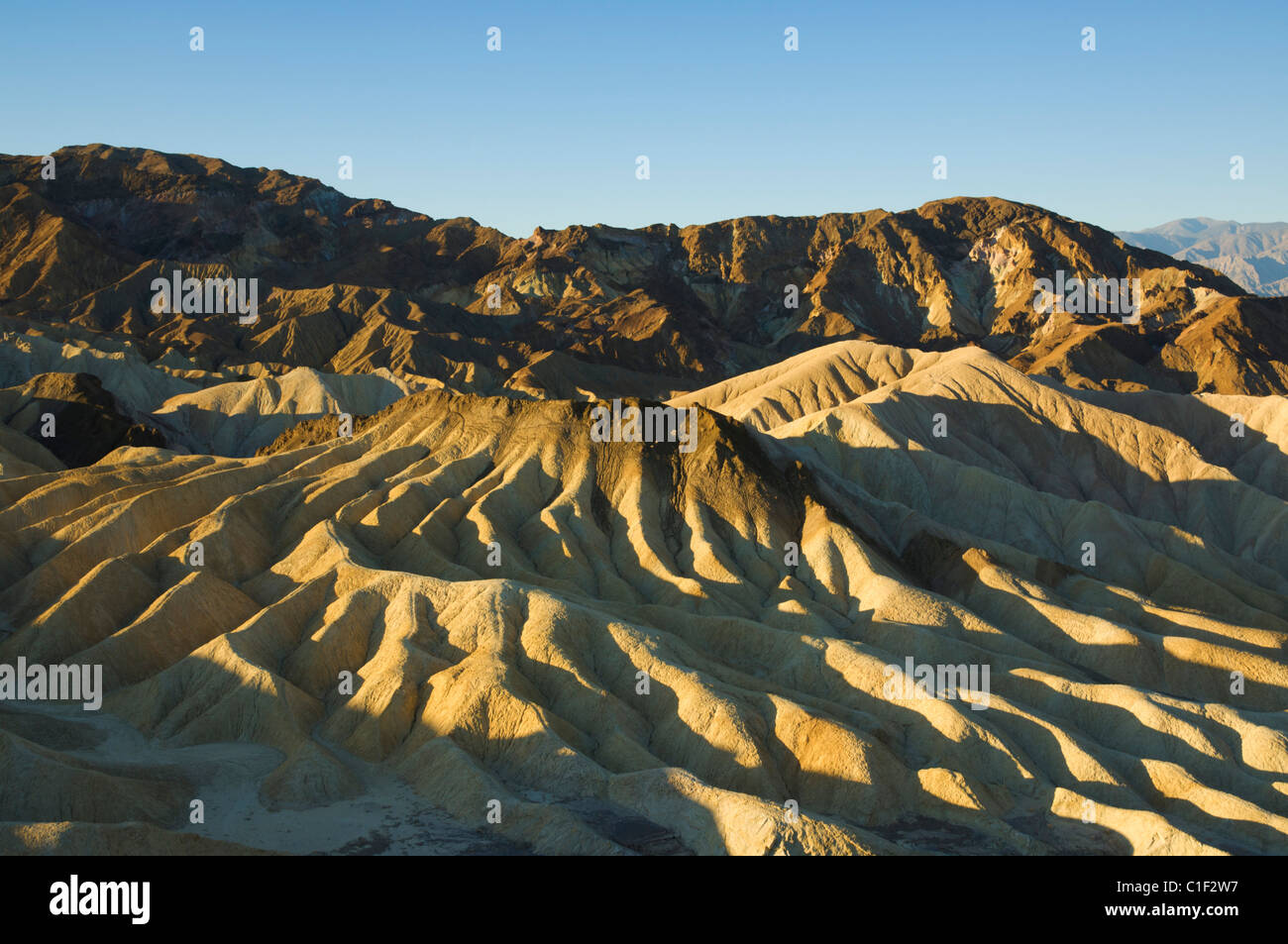 Kalksteinen Erosion am Zabriskie Point, Furnace Creek, Death Valley Nationalpark, Kalifornien, USA Stockfoto