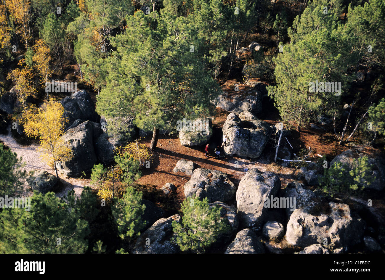 Frankreich, Seine et Marne, Wald von Fontainebleau im Herbst (Luftbild) Stockfoto