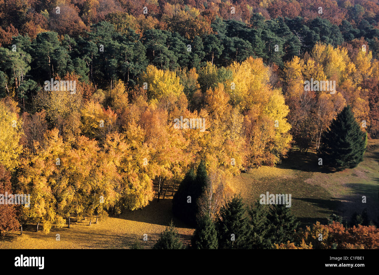 Frankreich, Seine et Marne, Wald von Fontainebleau im Herbst (Luftbild) Stockfoto