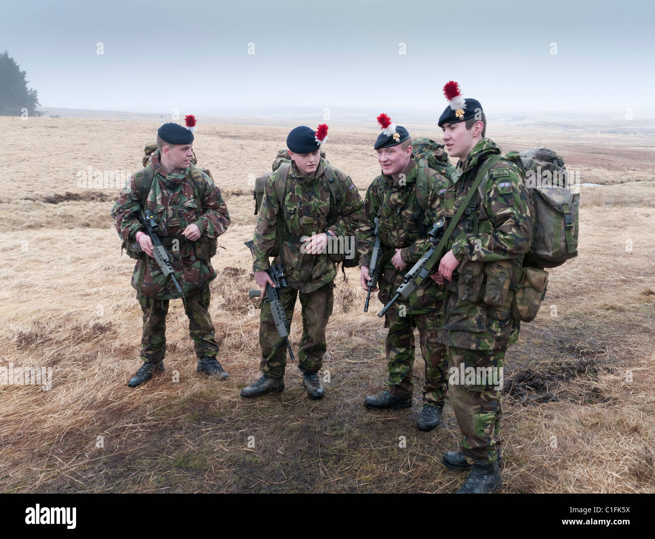 Soldaten der Territorialarmee trainierten auf dem Otterburn-Trainingsgelände Stockfoto