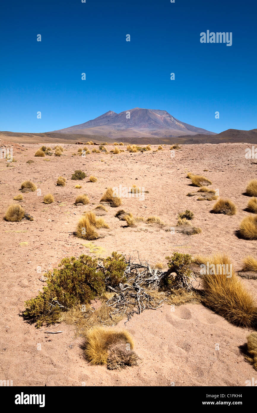 Wüste Landschaftsansicht mit Vulkan Ollagüe, im Süd-westlichen Bolivien, Südamerika. Stockfoto