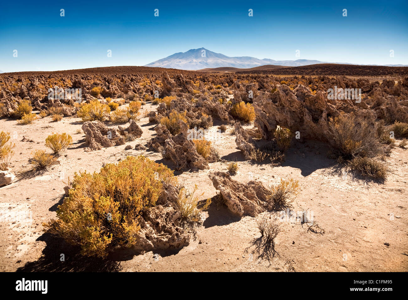 Querformat-Wüste in Süd-westlichen Bolivien, Südamerika. Stockfoto