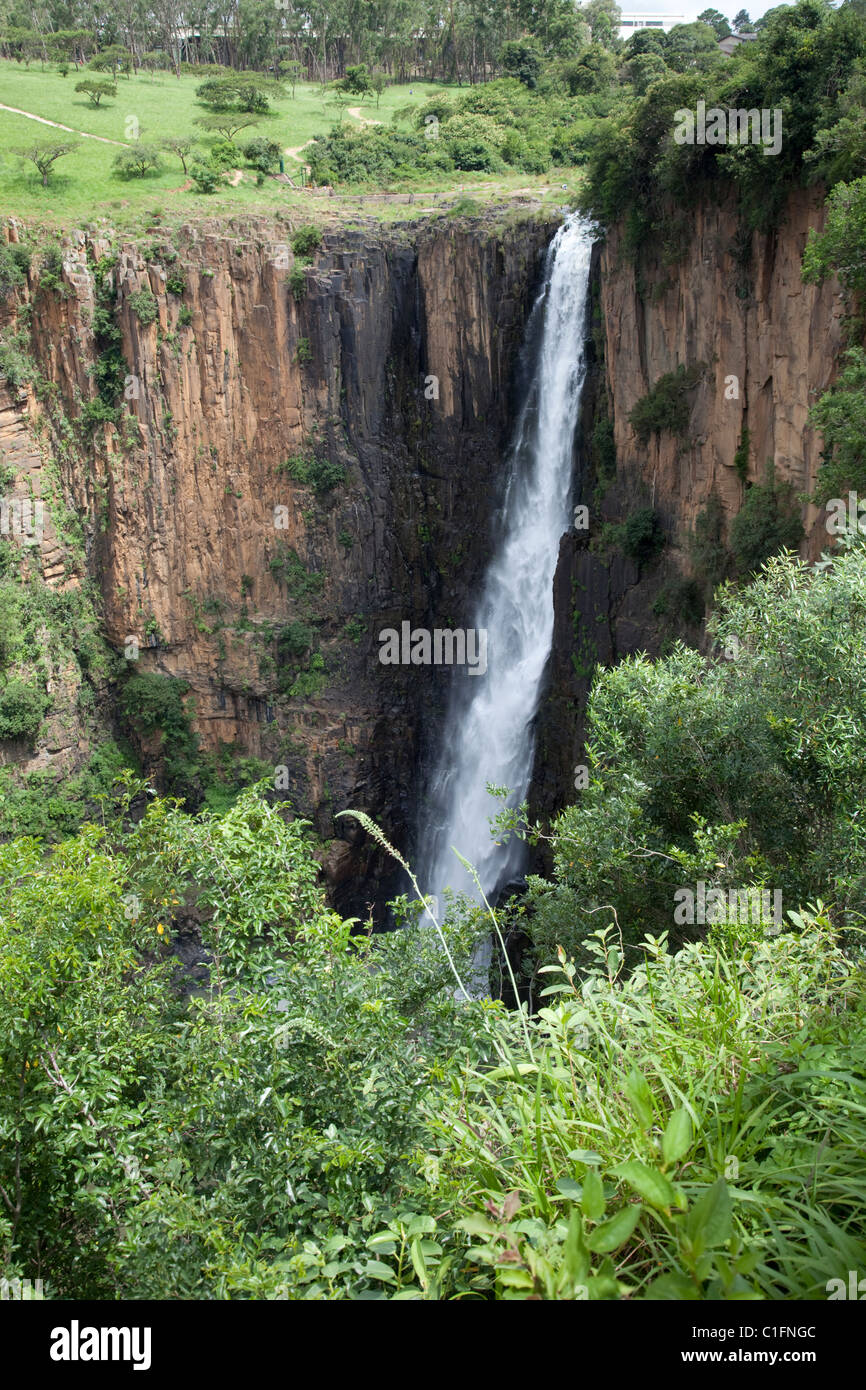 Howick falls -Fotos und -Bildmaterial in hoher Auflösung – Alamy