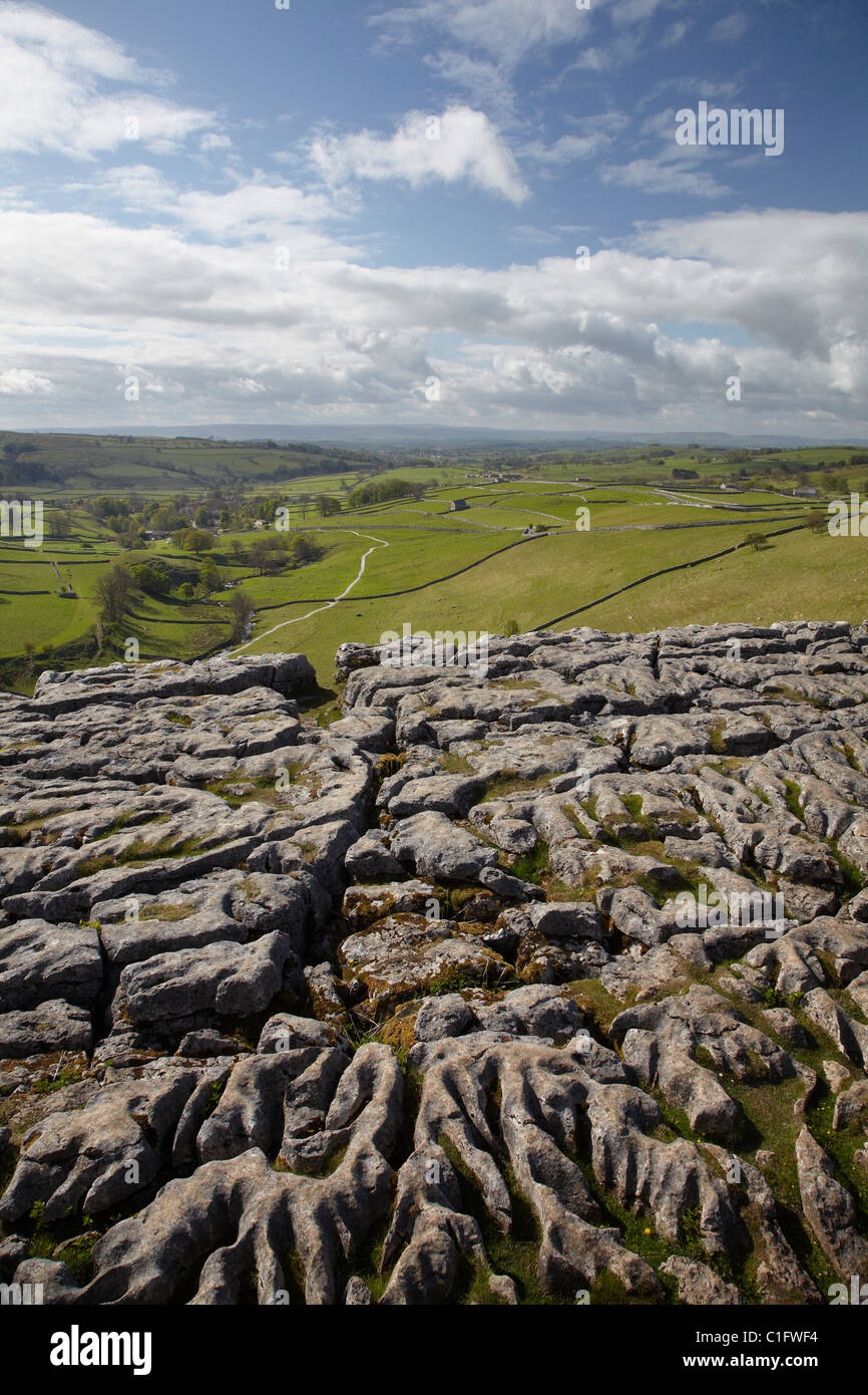 Kalkstein Pflaster, Malham Cove, in der Nähe von Malham Dorf, Yorkshire Dales National Park, North Yorkshire, England, Vereinigtes Königreich Stockfoto