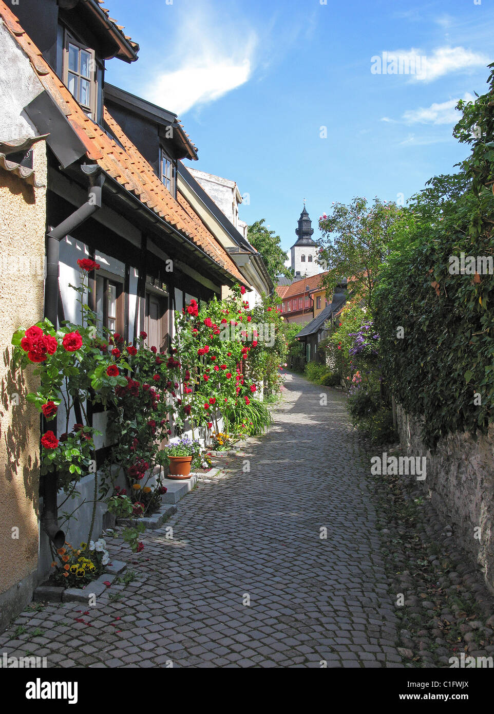 Rosen und Häuser auf einem mittelalterlichen Backstreet mit Turmspitze über domkyrkan, Visby, Gotland, Schweden. Stockfoto