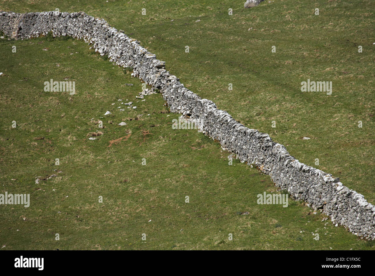 Ackerland und Stein Wände in der Nähe von Malham, Yorkshire Dales, North Yorkshire, England, Vereinigtes Königreich Stockfoto