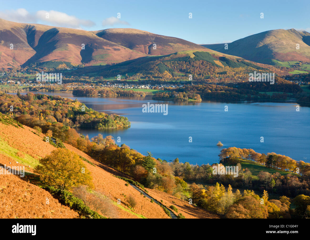 Derwent Water und Keswick aus Catbells, Nationalpark Lake District, Cumbria, England. Herbst (November) 2010. Stockfoto