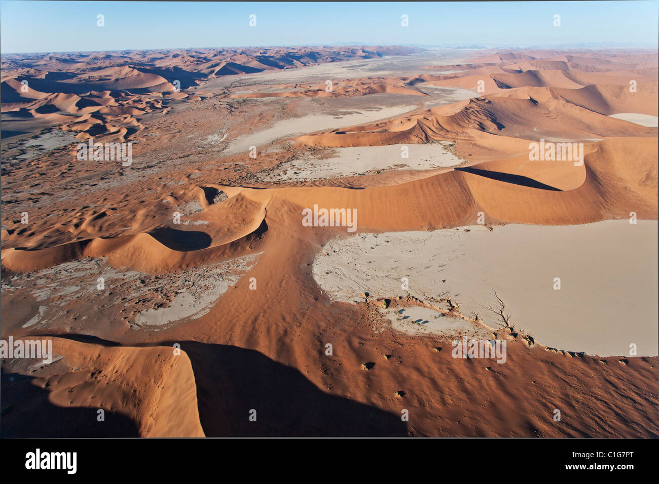 Dead Vlei in Sossusvlei in der Wüste Namib. Namib-Naukluft N.P, Namibia Stockfoto