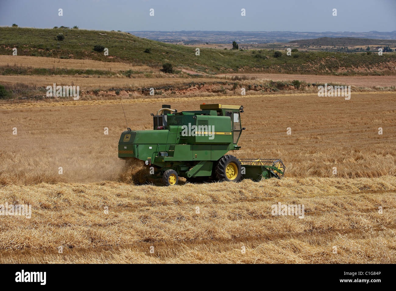 Mähdrescher auf Weizenfeld. Landmaschinen Stockfoto