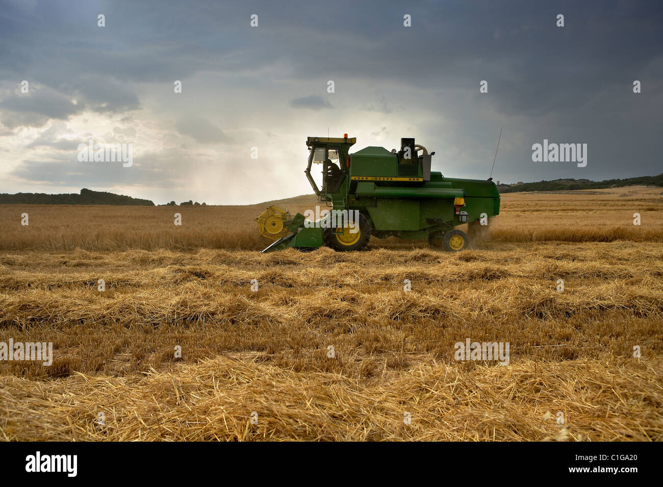 Mähdrescher auf Weizenfeld. Stockfoto
