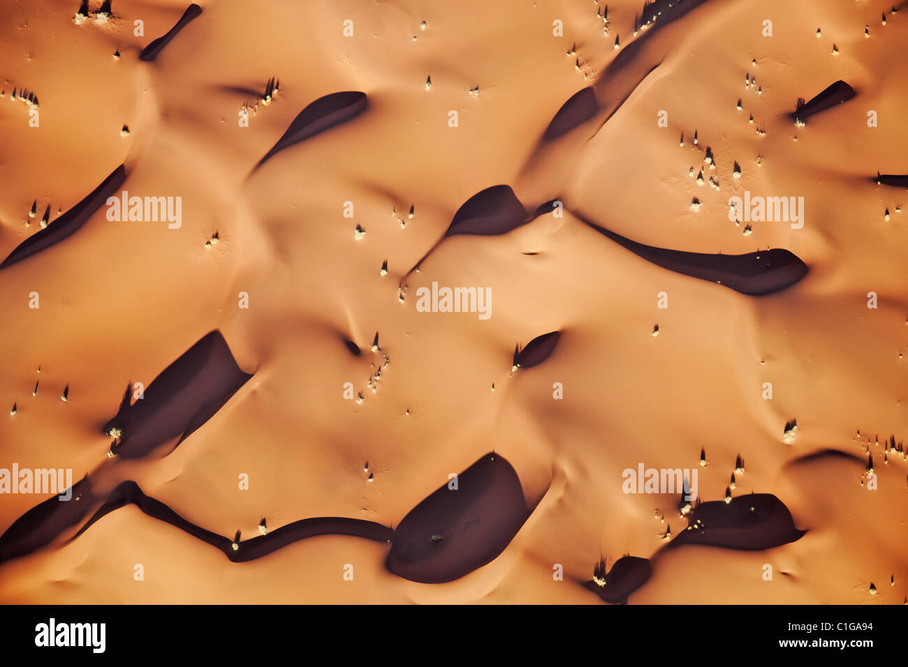 Düne Muster durch späte Nachmittagssonne beleuchtet. Sossusvlei in der Wüste Namib. Namib-Naukluft N.P, Namibia Stockfoto