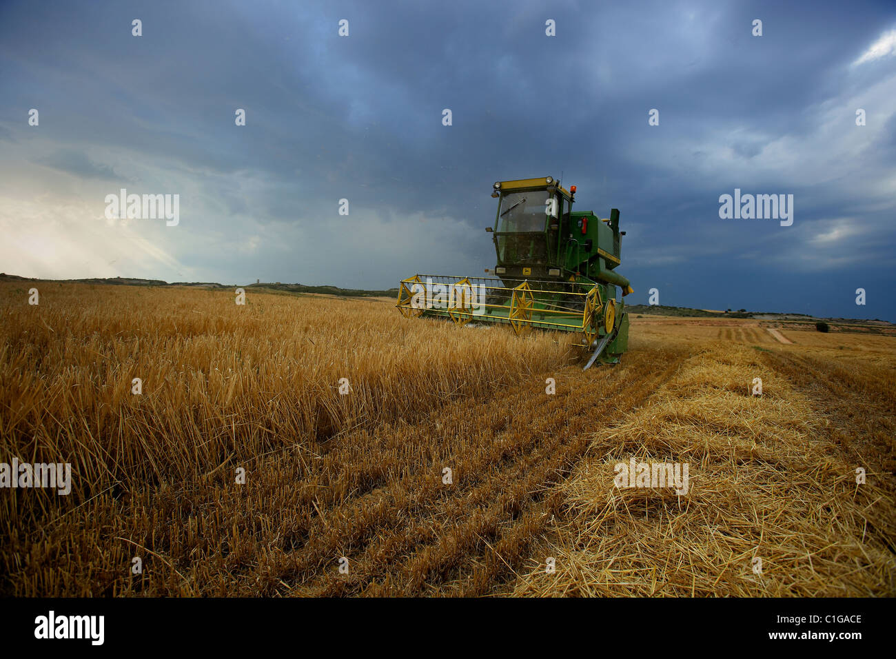 Mähdrescher im Weizenfeld Stockfoto