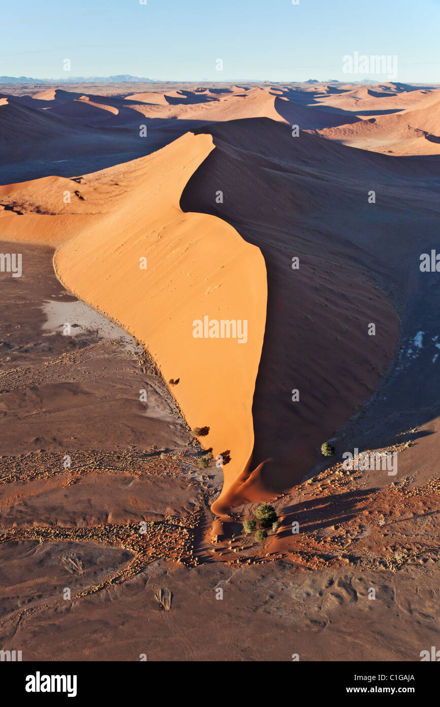 Sanddüne kann bis zu 400 Meter Höhe erreichen. Sossusvlei in der Wüste Namib. Namib-Naukluft. N.P, Namibia. Stockfoto