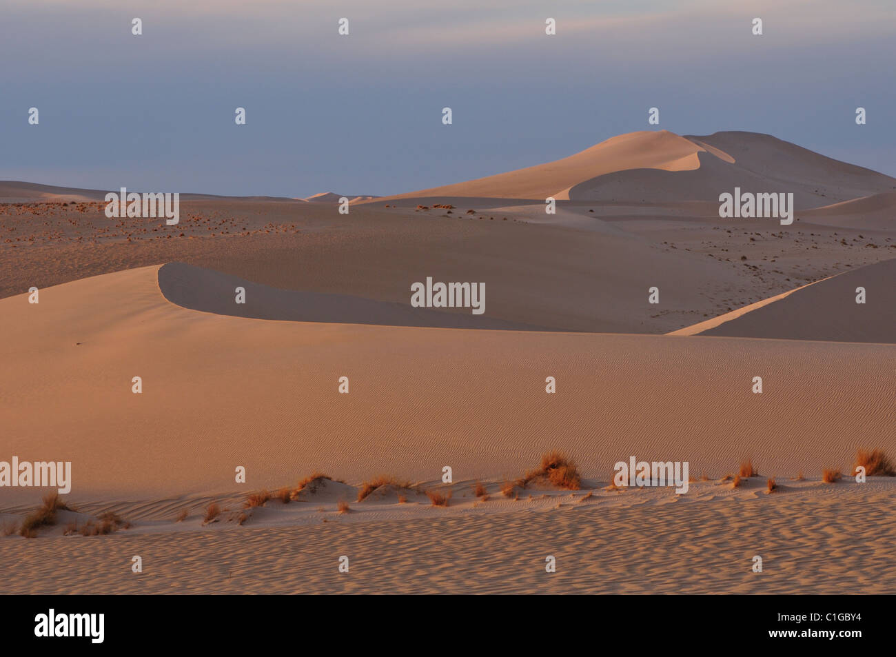 Dünenlandschaft Stockfoto