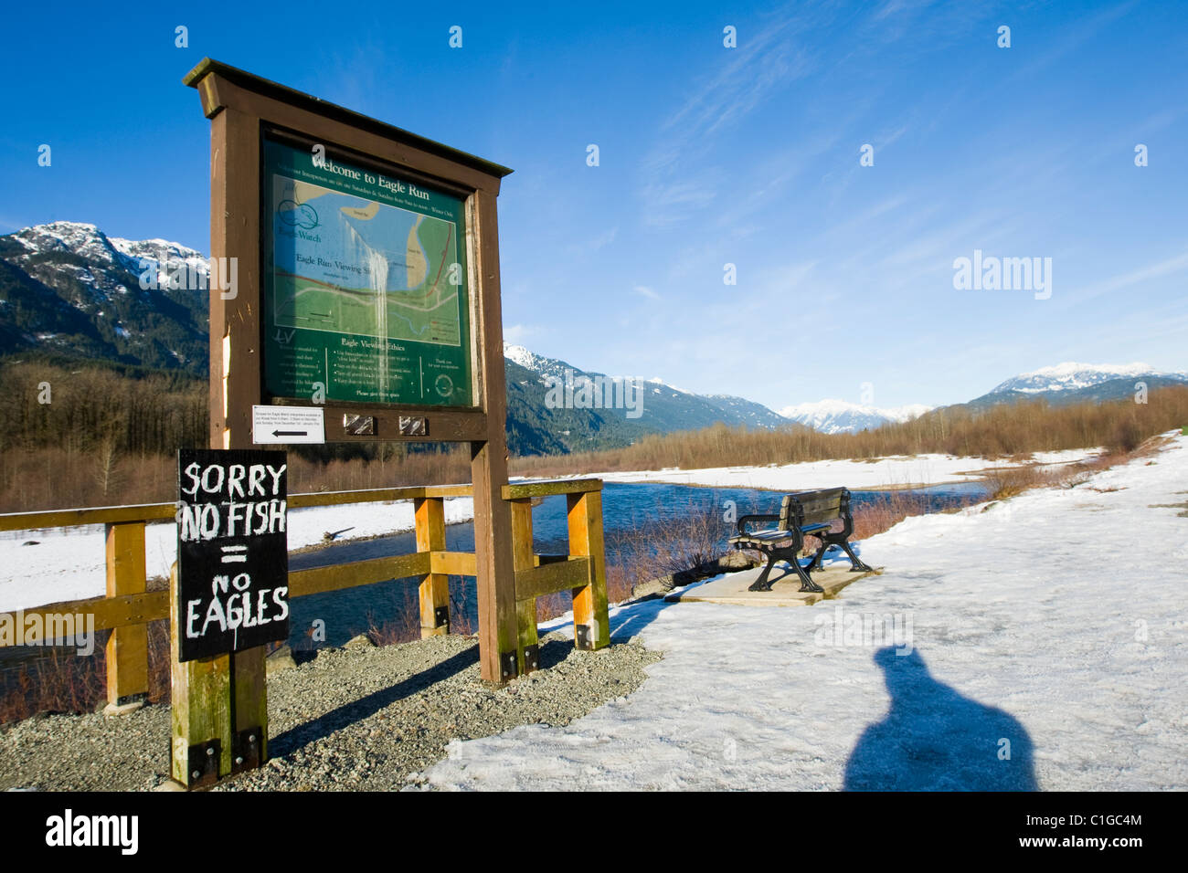 Eine handgemachte Zeichen benachrichtigt ein Passant, dass es kein Lachs, und daher keine Adler, entlang des Flusses Squamish abzuwarten. Stockfoto